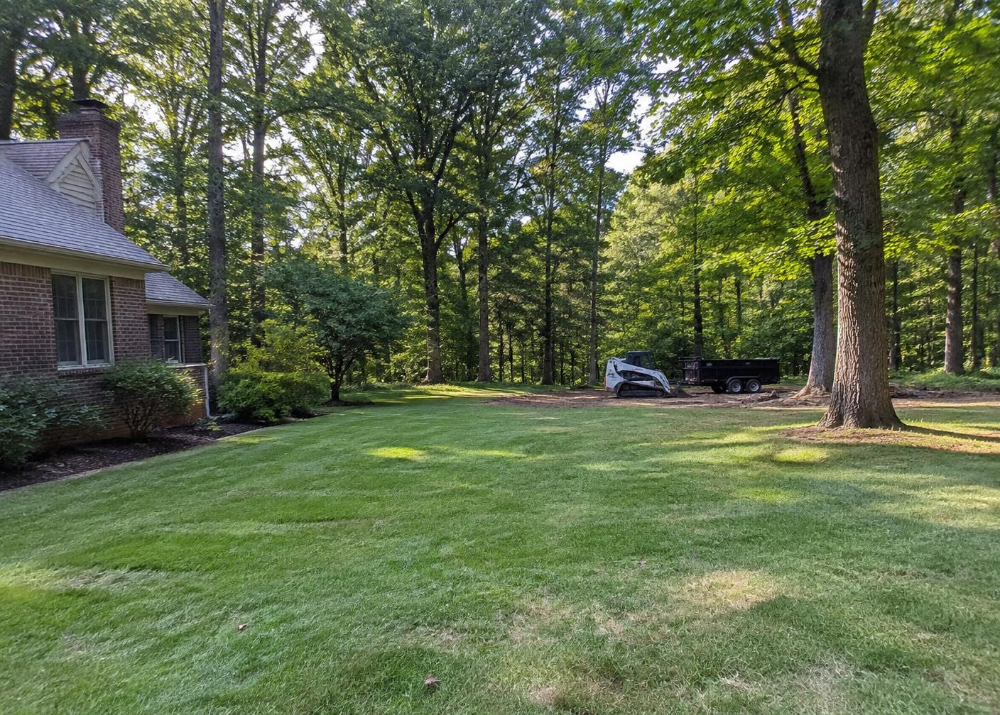 Clean property after tree service work