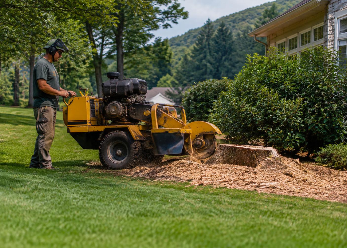 Professional stump grinding on a residential property